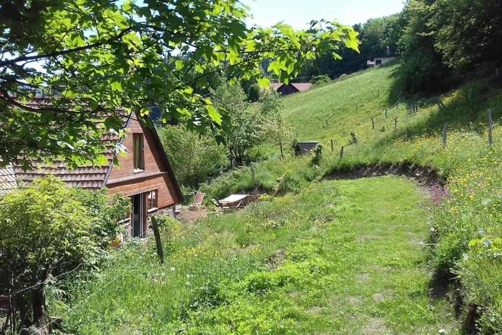 Apartamento Un Coin De Montagne Linthal Exterior foto