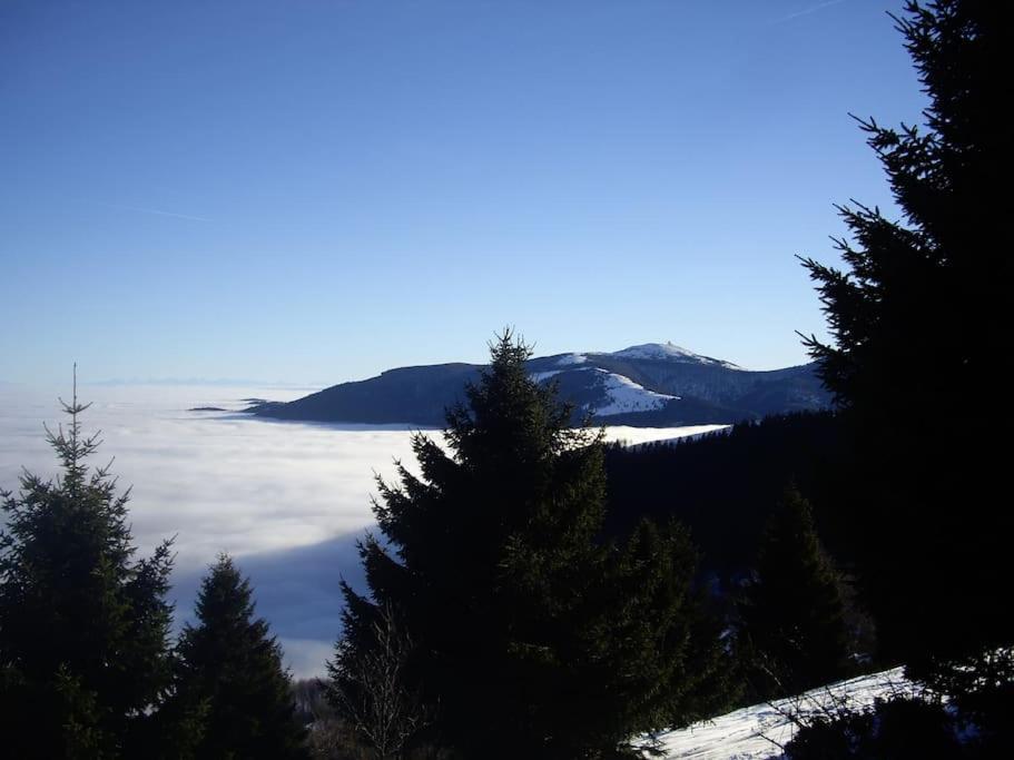 Apartamento Un Coin De Montagne Linthal Exterior foto
