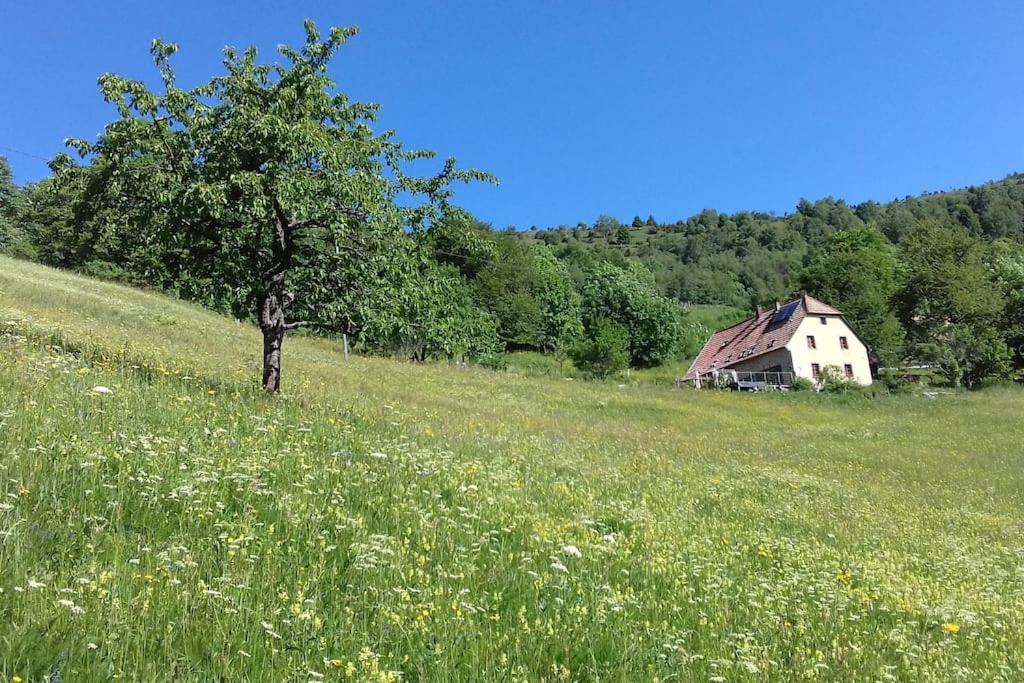 Apartamento Un Coin De Montagne Linthal Exterior foto